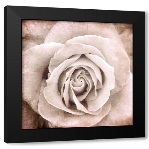 Paris Bistro 2 Black Modern Wood Framed Art Print with Double Matting by Allen, Kimberly