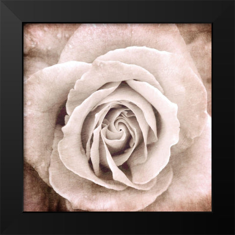 Paris Bistro 2 Black Modern Wood Framed Art Print by Allen, Kimberly