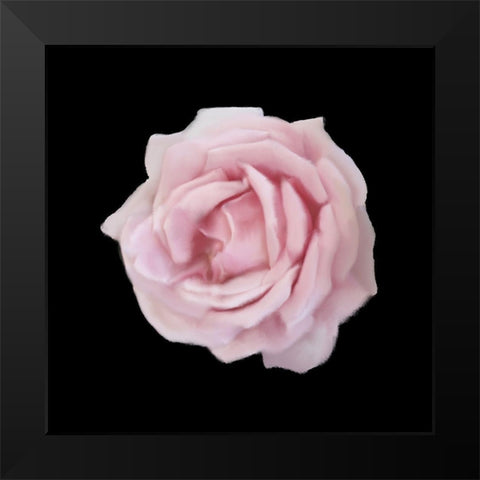 Perfume Roses 2 Black Modern Wood Framed Art Print by Allen, Kimberly