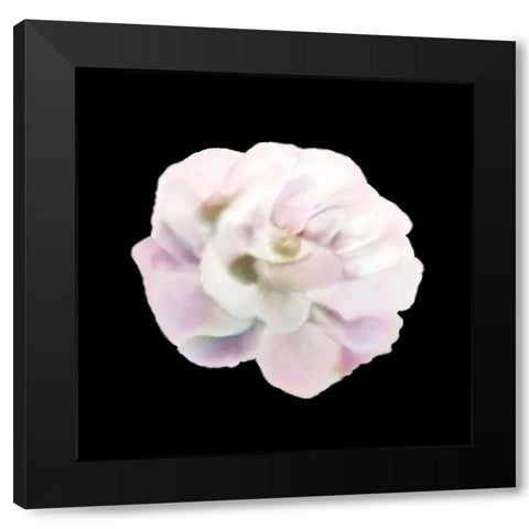 Always Paris 3 Black Modern Wood Framed Art Print with Double Matting by Allen, Kimberly