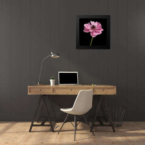 Pink Paris 2 Black Modern Wood Framed Art Print by Allen, Kimberly