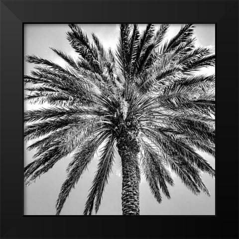 Under the Palm Black Modern Wood Framed Art Print by Allen, Kimberly