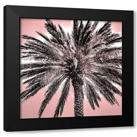 Under the Palm Pink Black Modern Wood Framed Art Print with Double Matting by Allen, Kimberly