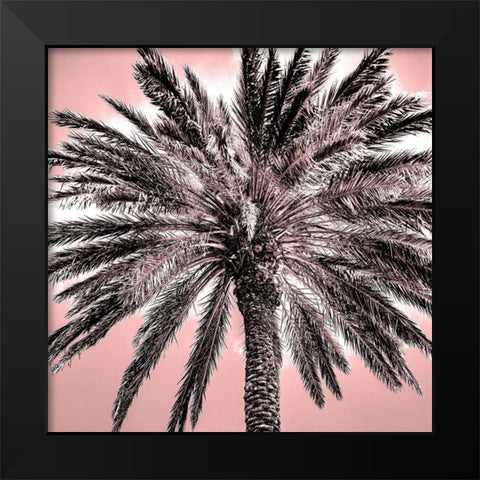 Under the Palm Pink Black Modern Wood Framed Art Print by Allen, Kimberly