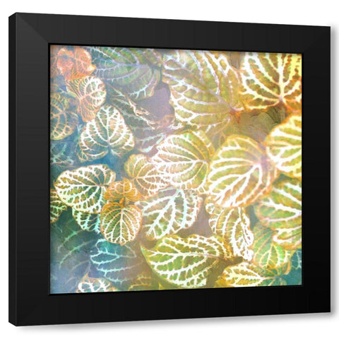 Jungle Leaves 2 Black Modern Wood Framed Art Print with Double Matting by Allen, Kimberly