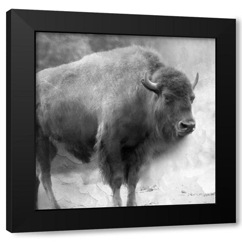 King Black Modern Wood Framed Art Print by Allen, Kimberly