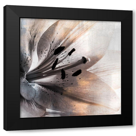 Golden Lights 1 Black Modern Wood Framed Art Print with Double Matting by Allen, Kimberly