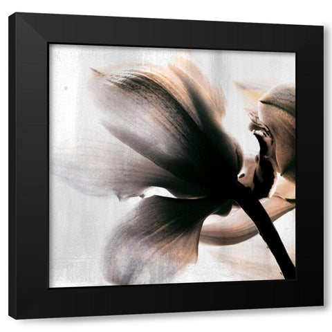 Golden Lights 3 Black Modern Wood Framed Art Print by Allen, Kimberly