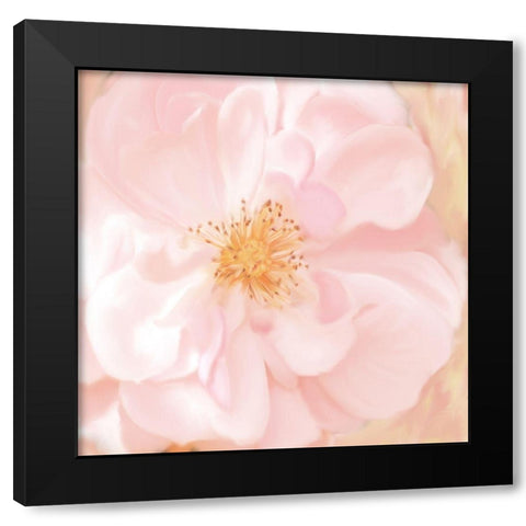 Pretty Pink Black Modern Wood Framed Art Print by Allen, Kimberly