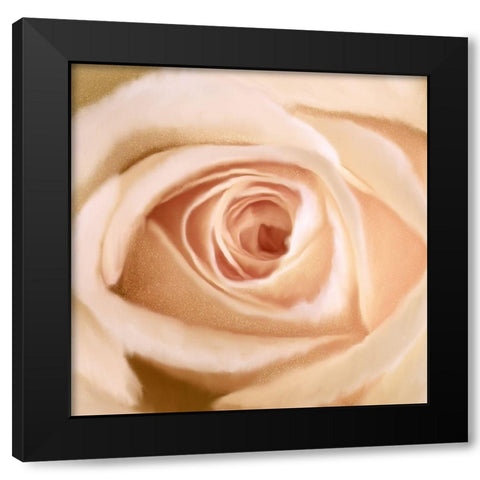 Rosey Black Modern Wood Framed Art Print with Double Matting by Allen, Kimberly