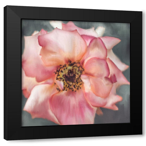 Dusty Rose Black Modern Wood Framed Art Print by Allen, Kimberly