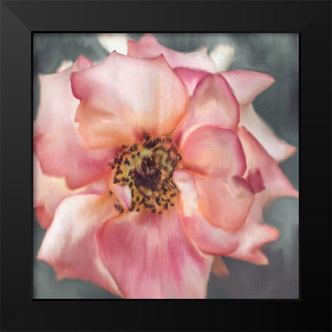 Dusty Rose Black Modern Wood Framed Art Print by Allen, Kimberly
