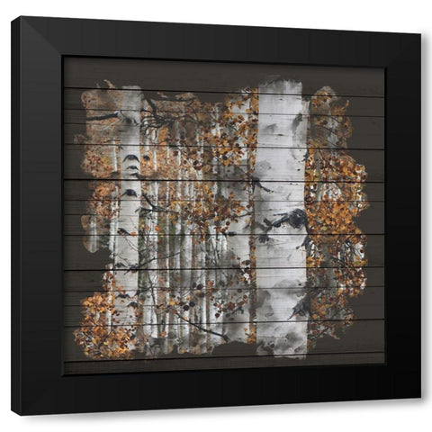 Aspen Wood 1 Black Modern Wood Framed Art Print with Double Matting by Allen, Kimberly