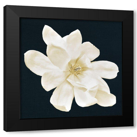 Magnolia 1 Black Modern Wood Framed Art Print by Allen, Kimberly