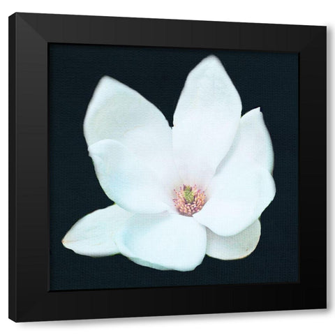 Magnolia 2 Black Modern Wood Framed Art Print by Allen, Kimberly