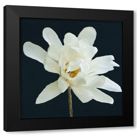 Magnolia 3 Black Modern Wood Framed Art Print by Allen, Kimberly
