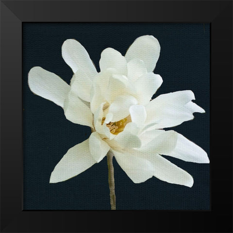 Magnolia 3 Black Modern Wood Framed Art Print by Allen, Kimberly