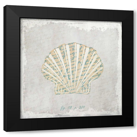Stone Shell 2 Black Modern Wood Framed Art Print with Double Matting by Allen, Kimberly