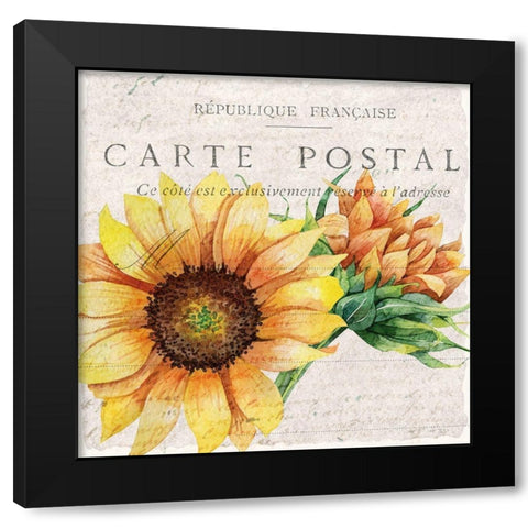 Sunflower Postcard 1 Black Modern Wood Framed Art Print with Double Matting by Allen, Kimberly