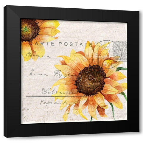 Sunflower Postcard 2 Black Modern Wood Framed Art Print with Double Matting by Allen, Kimberly