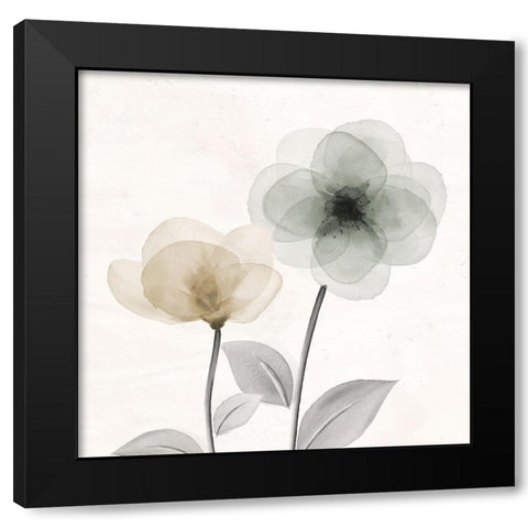Open Bloom 2 Black Modern Wood Framed Art Print by Allen, Kimberly