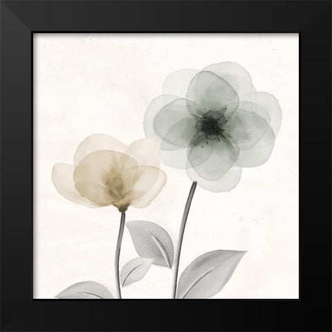 Open Bloom 2 Black Modern Wood Framed Art Print by Allen, Kimberly
