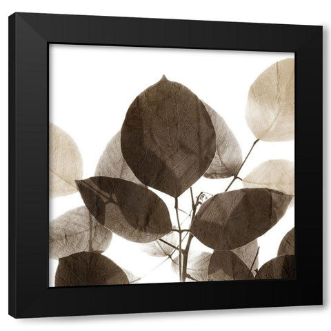 Chocolate Leaves 1 Black Modern Wood Framed Art Print by Allen, Kimberly