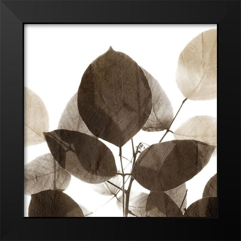 Chocolate Leaves 1 Black Modern Wood Framed Art Print by Allen, Kimberly