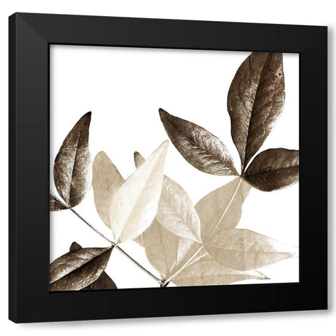 Chocolate Leaves 2 Black Modern Wood Framed Art Print by Allen, Kimberly