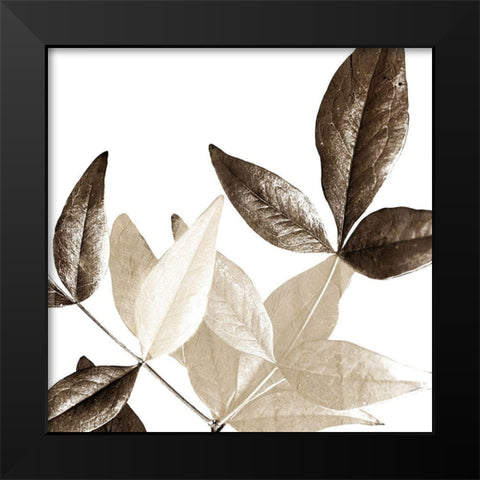 Chocolate Leaves 2 Black Modern Wood Framed Art Print by Allen, Kimberly
