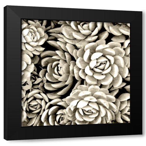 Succulent Mono Black Modern Wood Framed Art Print by Allen, Kimberly