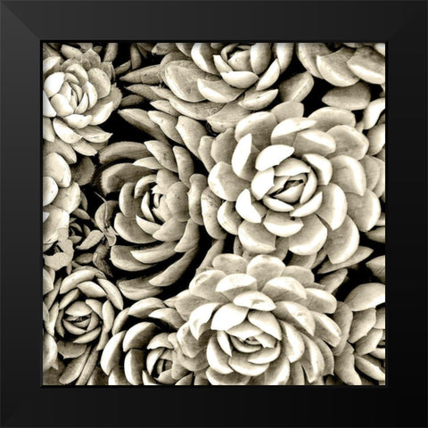 Succulent Mono Black Modern Wood Framed Art Print by Allen, Kimberly
