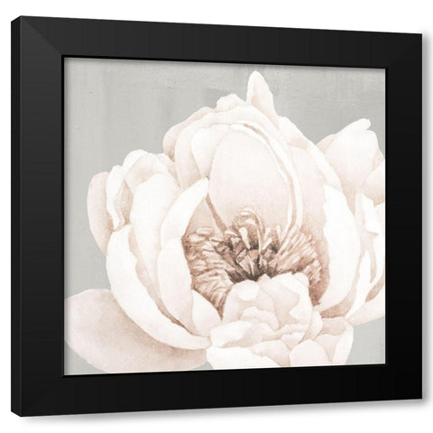 Neutral Peony 1 Black Modern Wood Framed Art Print with Double Matting by Allen, Kimberly