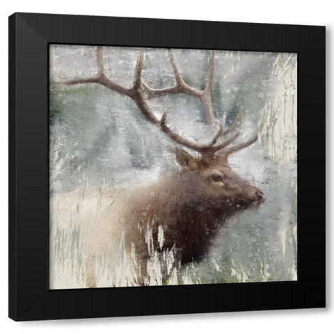 Wildlife 2 Black Modern Wood Framed Art Print with Double Matting by Allen, Kimberly