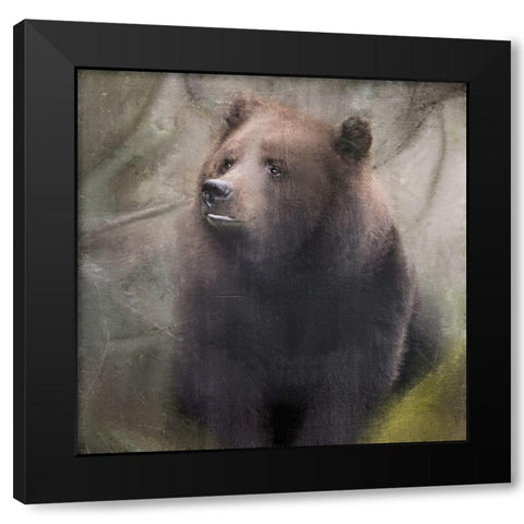 In the Forest Black Modern Wood Framed Art Print by Allen, Kimberly