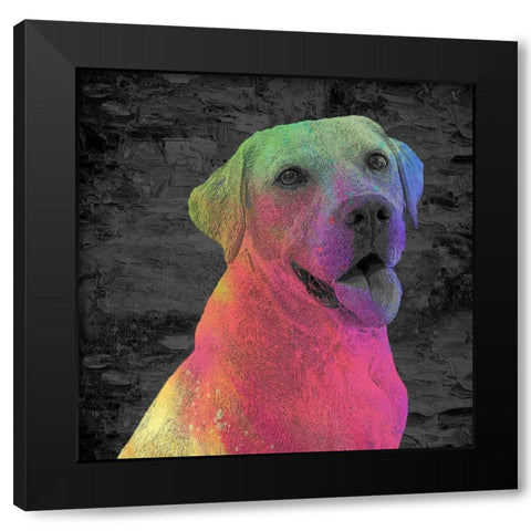 Lab Black Modern Wood Framed Art Print with Double Matting by Allen, Kimberly