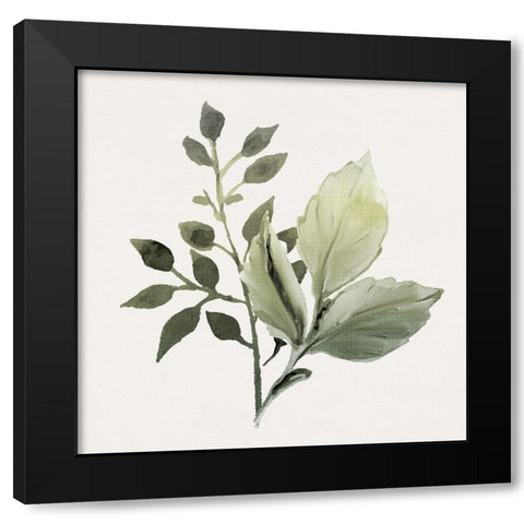 Watercolor Sage 2 Black Modern Wood Framed Art Print with Double Matting by Allen, Kimberly