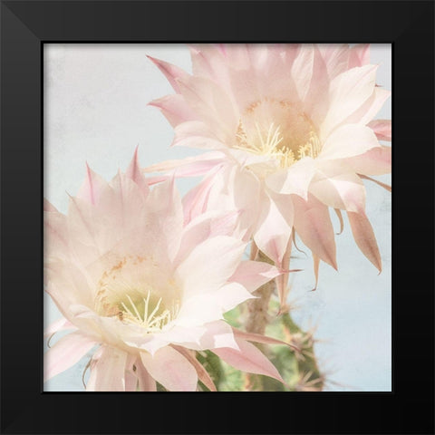 Cactus Bloom Black Modern Wood Framed Art Print by Allen, Kimberly