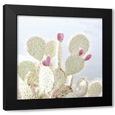 Cactus Blossom Black Modern Wood Framed Art Print by Allen, Kimberly