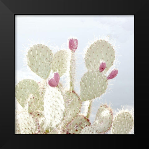 Cactus Blossom Black Modern Wood Framed Art Print by Allen, Kimberly