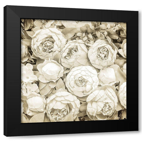Dried Roses Black Modern Wood Framed Art Print with Double Matting by Allen, Kimberly