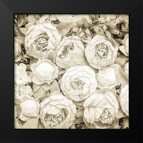 Dried Roses Black Modern Wood Framed Art Print by Allen, Kimberly
