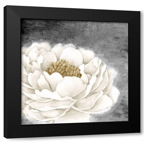 White Peony Black Modern Wood Framed Art Print with Double Matting by Allen, Kimberly