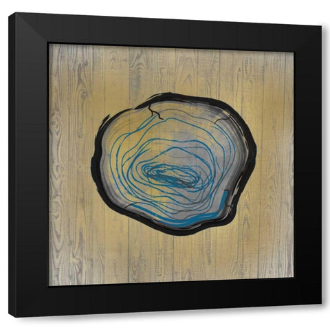 Country Minerals 1 Black Modern Wood Framed Art Print by Allen, Kimberly