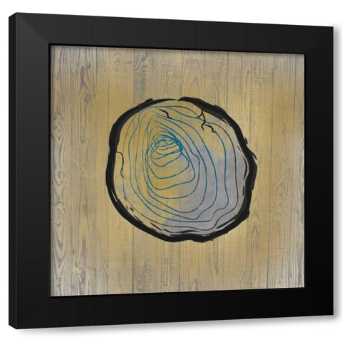 Country Minerals 2 Black Modern Wood Framed Art Print by Allen, Kimberly