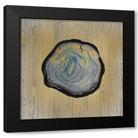 Country Minerals 3 Black Modern Wood Framed Art Print by Allen, Kimberly