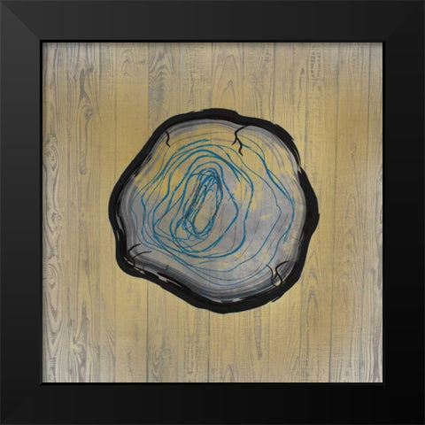 Country Minerals 3 Black Modern Wood Framed Art Print by Allen, Kimberly