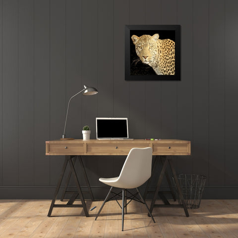Refuge Leopard 2 V2 Black Modern Wood Framed Art Print by Allen, Kimberly