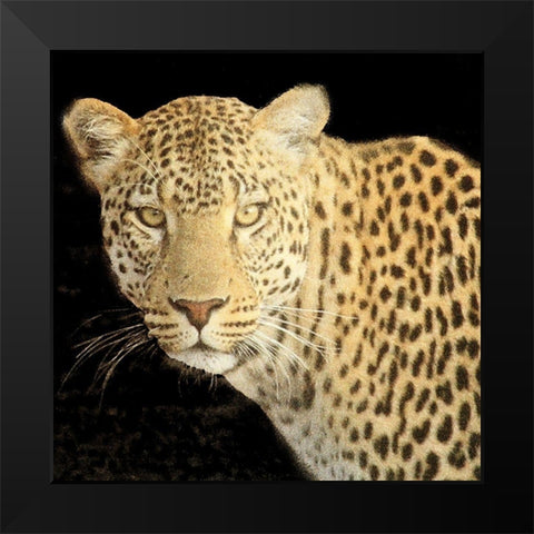 Refuge Leopard 2 V2 Black Modern Wood Framed Art Print by Allen, Kimberly