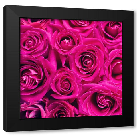 Paris Rose 1 Black Modern Wood Framed Art Print with Double Matting by Allen, Kimberly